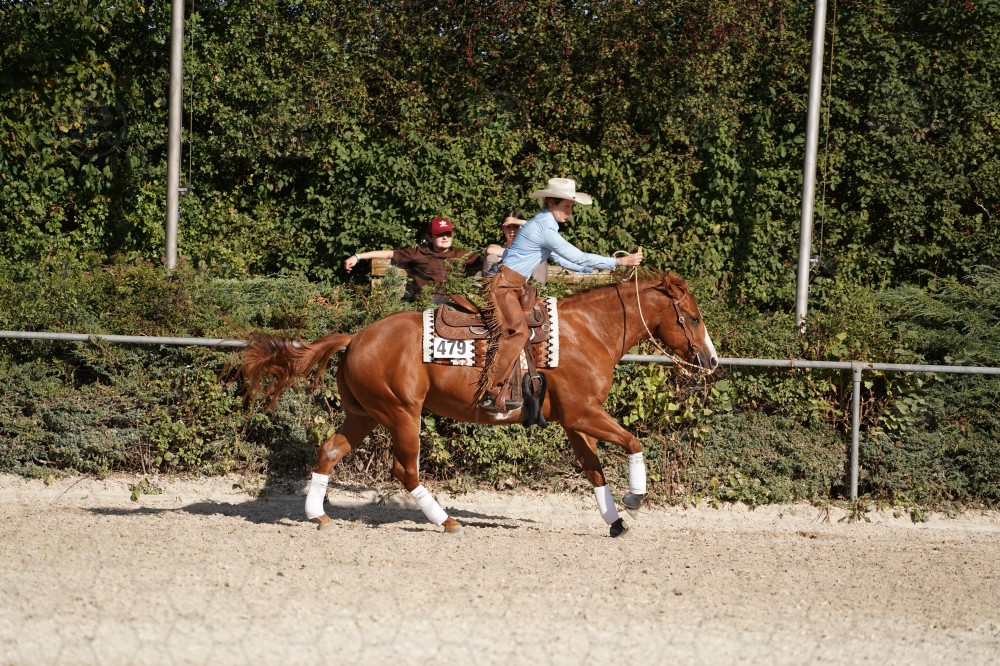 s_A_908365.JPG